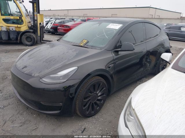 2023 TESLA MODEL Y 7SAYGDEF5PF823444 Photo 1