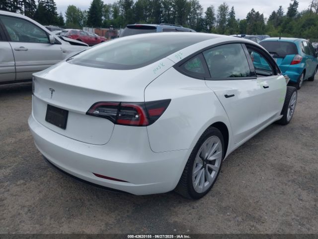 2023 TESLA MODEL 3 5YJ3E1EA9PF431356 Photo 3