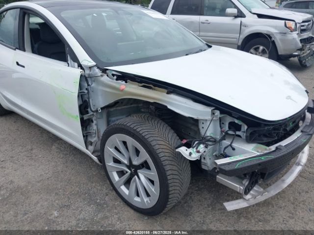 2023 TESLA MODEL 3 5YJ3E1EA9PF431356 Photo 5