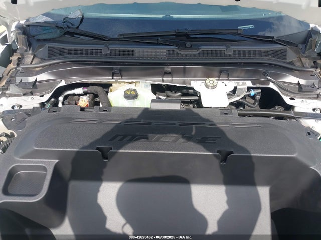 Ford Mustang Mach-E 2025 3FMTK3R79SMA04875 Image 10