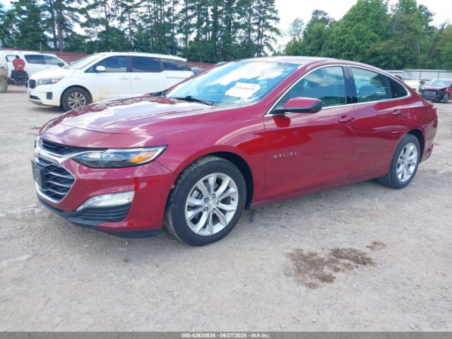 2019 CHEVROLET MALIBU 1G1ZD5ST8KF210337 Photo 1