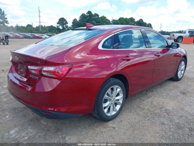2019 CHEVROLET MALIBU 1G1ZD5ST8KF210337 Photo 3