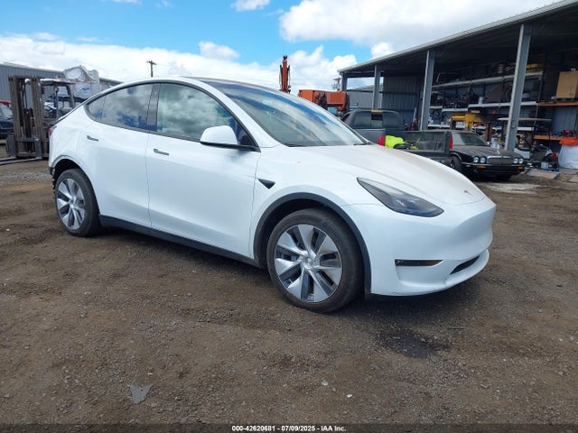 2023 TESLA MODEL Y 7SAYGDEE6PF609232 Photo 0