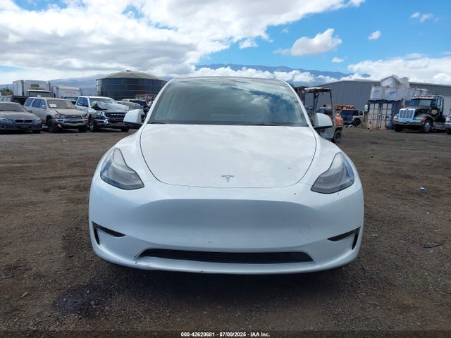 Tesla 2023 2023 7SAYGDEE6PF609232 Image 12