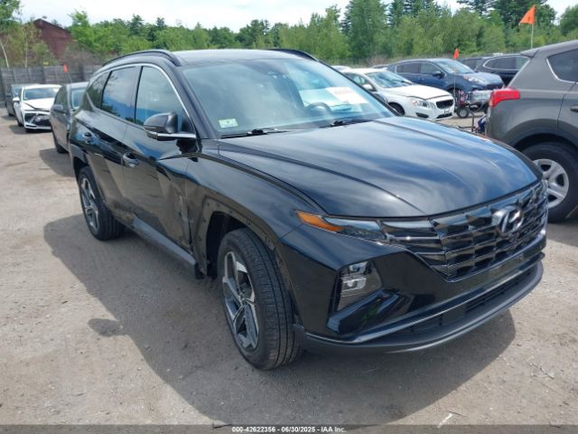 2024 HYUNDAI TUCSON 5NMJECDE9RH316815