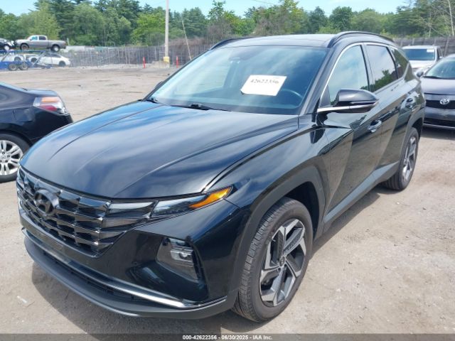 2024 HYUNDAI TUCSON 5NMJECDE9RH316815 Photo 1