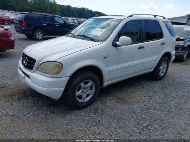 2001 MERCEDES-BENZ ML 320 4JGAB54E91A283815 Photo 1