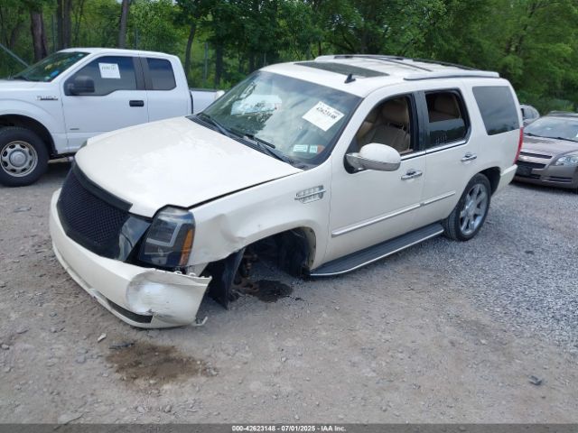 2012 CADILLAC ESCALADE 1GYS4BEF2CR241641 Photo 1