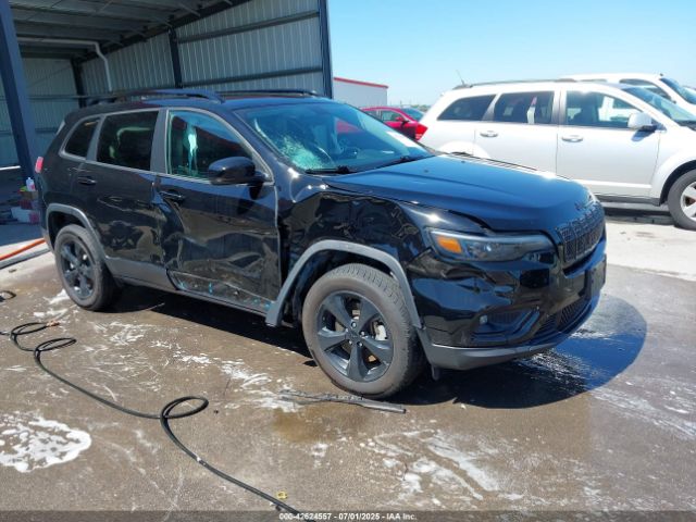 2019 JEEP CHEROKEE 1C4PJMLB1KD465933