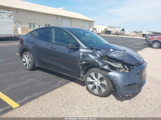 2021 TESLA MODEL Y 5YJYGDEE2MF241642