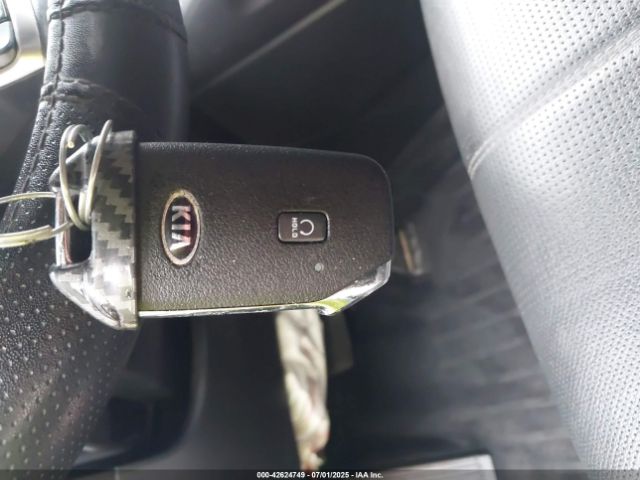 2021 KIA TELLURIDE 5XYP3DHC2MG119051 Photo 10