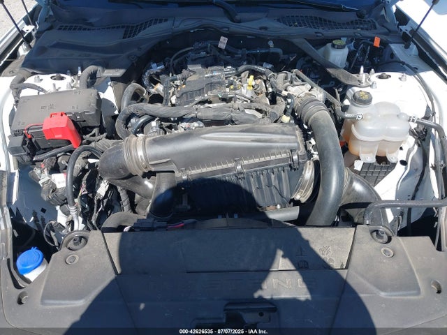 1FAGP8UH3R5134242 Ford 4v