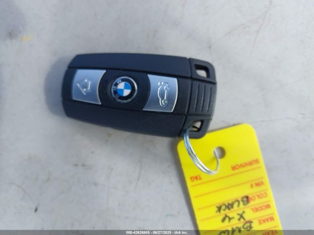 2009 BMW X6 5UXFG43569L224372 Photo 10