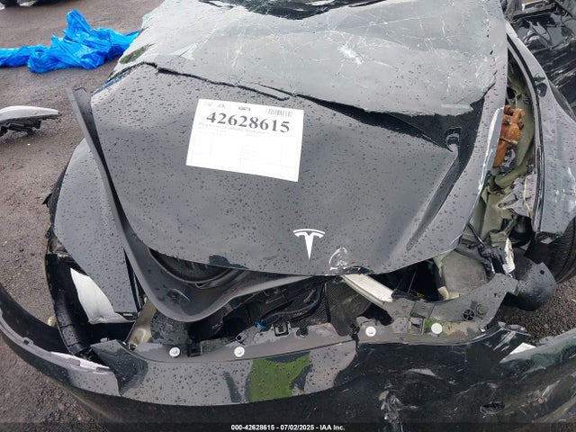 2025 TESLA MODEL 3 5YJ3E1EB4SF941504 Photo 9