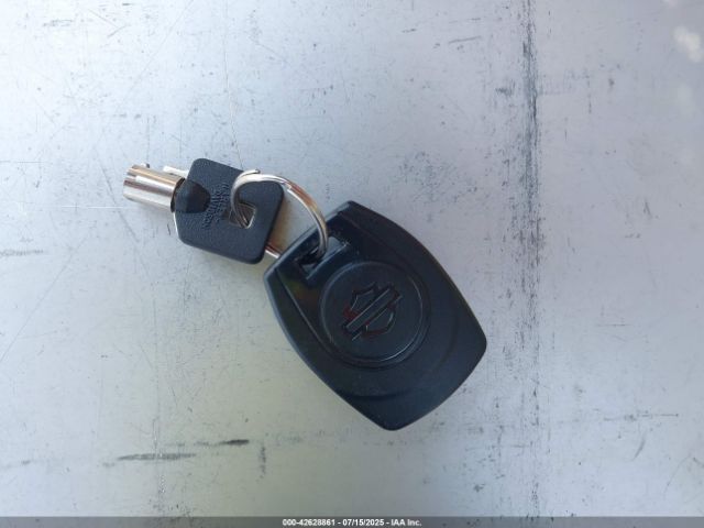 2024 HARLEY-DAVIDSON FLHX 1HD1KB71XRB640077 Photo 10