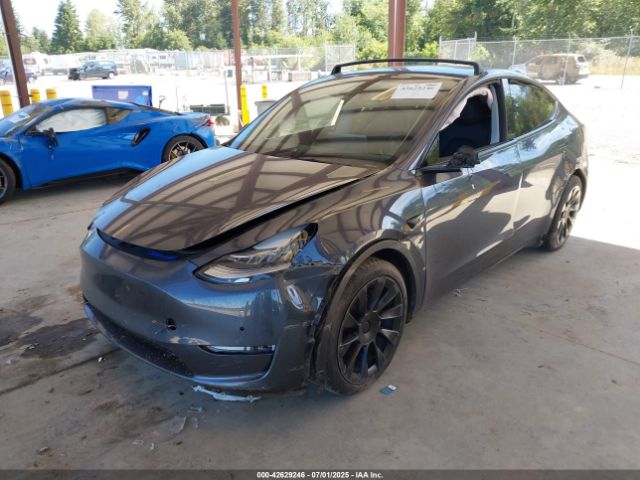 2021 TESLA MODEL Y 5YJYGDEE5MF208053 Photo 1