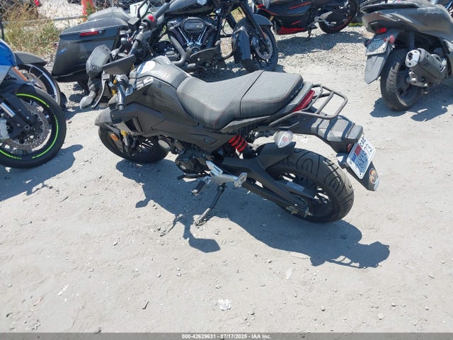 LXDPCJRX7R1041261 Dongfang 2024