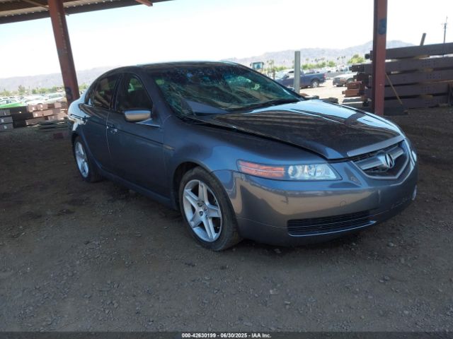 2006 ACURA TL 19UUA66256A004172 Photo 0