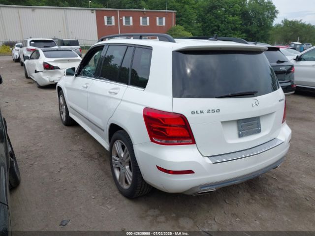 2014 MERCEDES-BENZ GLK 250 BLUETEC WDCGG0EBXEG285030 Photo 2