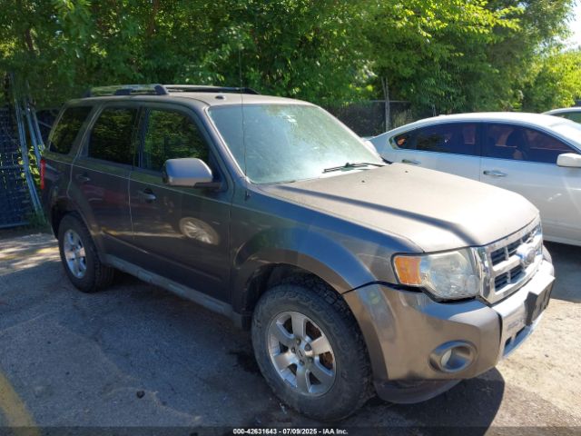 2009 FORD ESCAPE 1FMCU04G09KB78139