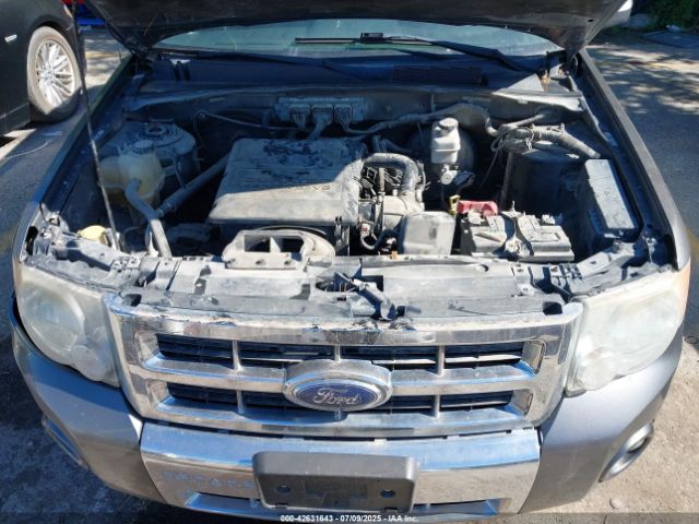 2009 FORD ESCAPE 1FMCU04G09KB78139 Photo 9