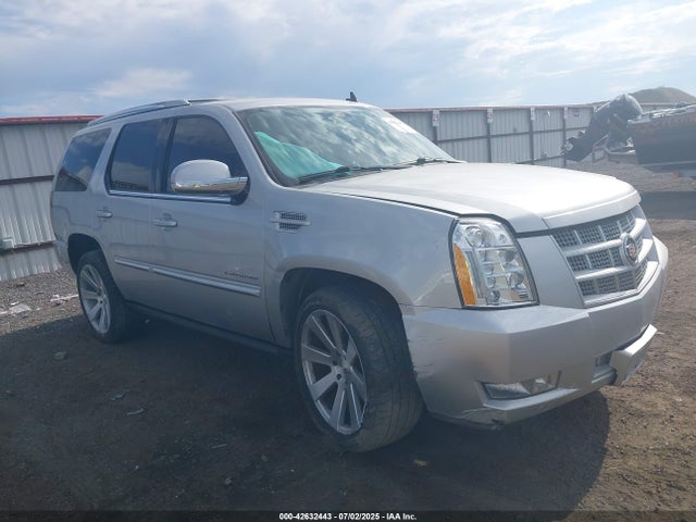 2013 CADILLAC ESCALADE 1GYS4CEF0DR125412 Photo 0