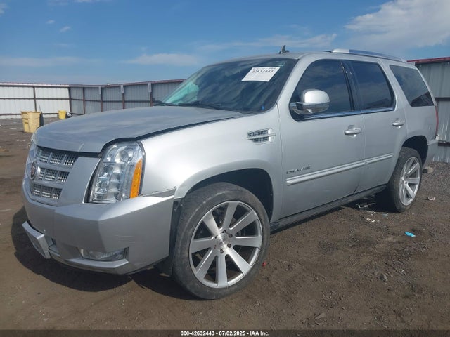 2013 CADILLAC ESCALADE 1GYS4CEF0DR125412 Photo 1