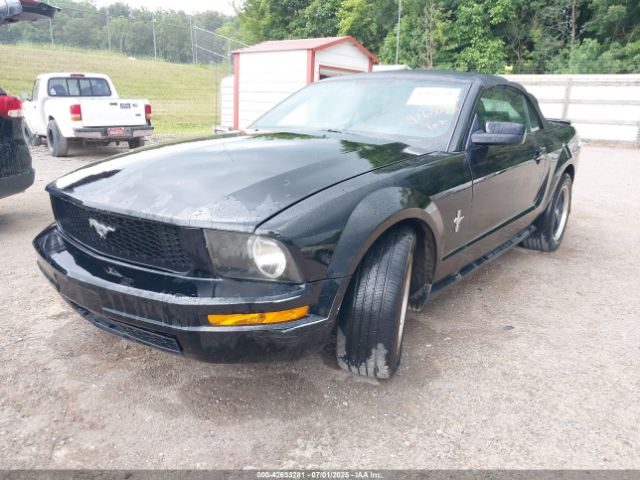 2008 FORD MUSTANG 1ZVHT84N185117077 Photo 1