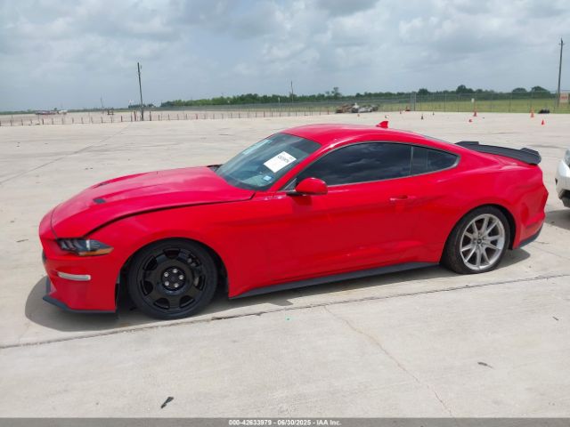 2021 FORD MUSTANG 1FA6P8TH9M5103972 Photo 1