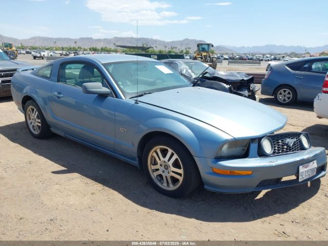 2005 FORD MUSTANG 1ZVHT82H655105001