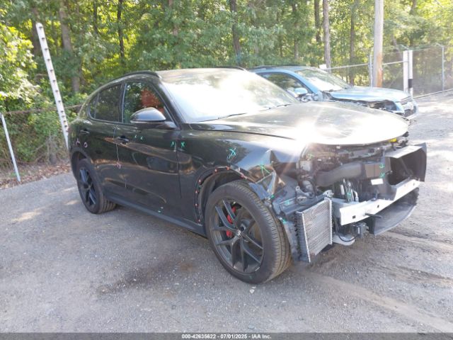 2019 ALFA ROMEO STELVIO ZASPAKBN3K7C69921