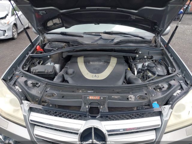2010 MERCEDES-BENZ GL 450 4JGBF7BEXAA601738 Photo 9