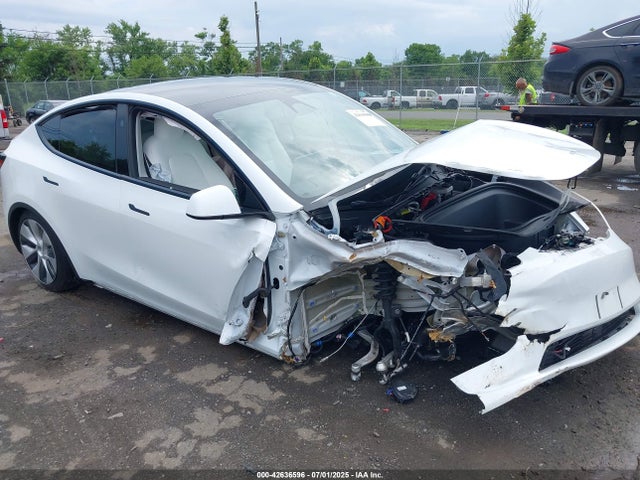 2023 TESLA MODEL Y 7SAYGDEEXPF835144 Photo 0