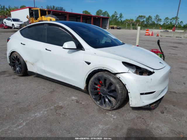 2023 TESLA MODEL Y 7SAYGDEF2PF708669