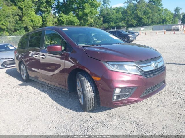 2019 HONDA ODYSSEY 5FNRL6H79KB135307