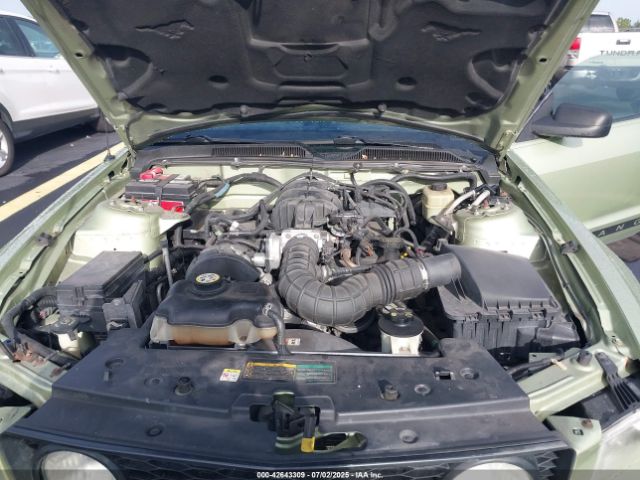 2005 FORD MUSTANG 1ZVFT80N255140487 Photo 9