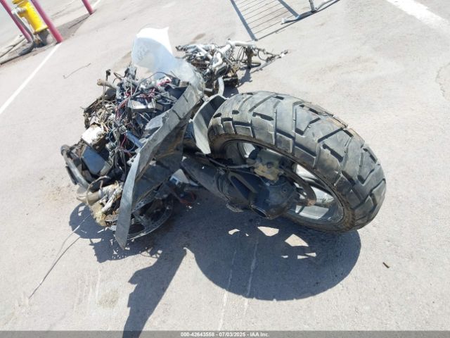 2023 BMW R 1250 WB10L0303P6H54522 Photo 2