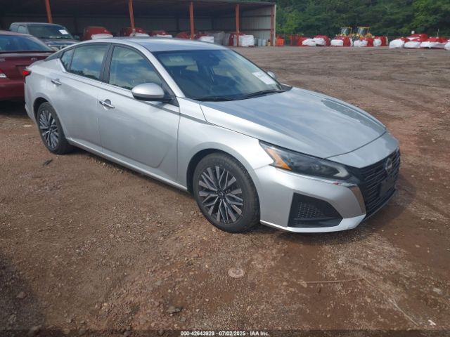 2023 NISSAN ALTIMA 1N4BL4DV3PN364946