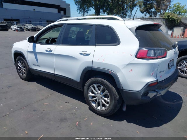 Jeep 2020 2020 1C4PJMCB7LD651266 Image 3