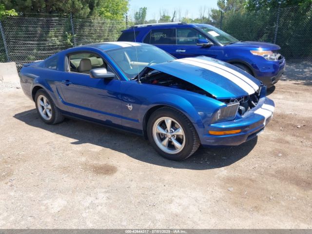 2009 FORD MUSTANG 1ZVHT80N895107184