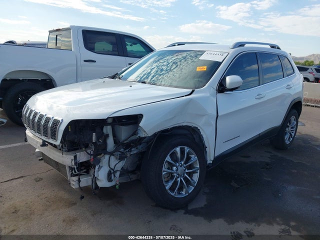 Jeep 2020 2020 1C4PJLLB4LD634130 Image 2