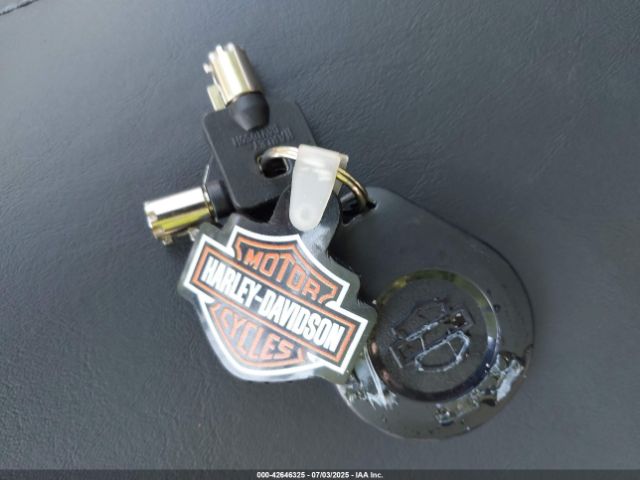 2022 HARLEY-DAVIDSON FLTRK 1HD1KZF18NB621046 Photo 10