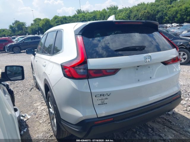 2024 HONDA CR-V 7FARS4H49RE012943 Photo 2