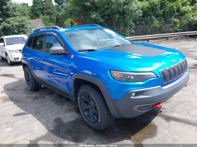 2019 JEEP CHEROKEE 1C4PJMBX1KD336247
