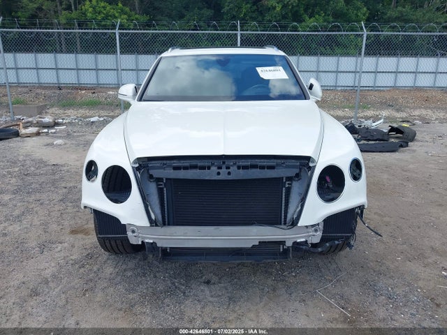 Bentley Dcu 2019 SJAAM2ZV8KC025346 Image 13