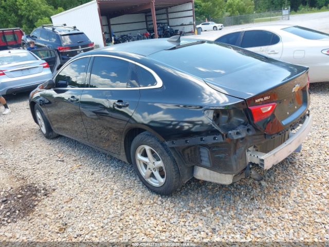 2017 CHEVROLET MALIBU 1G1ZC5ST0HF156866 Photo 2