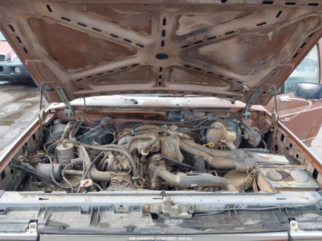 1989 FORD F 1FTEX14Y1KKA59105 Photo 9