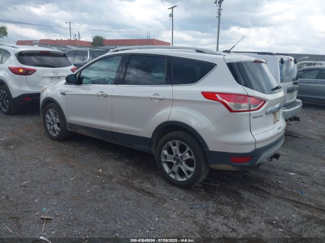 2015 FORD ESCAPE 1FMCU0J99FUB92563 Photo 2