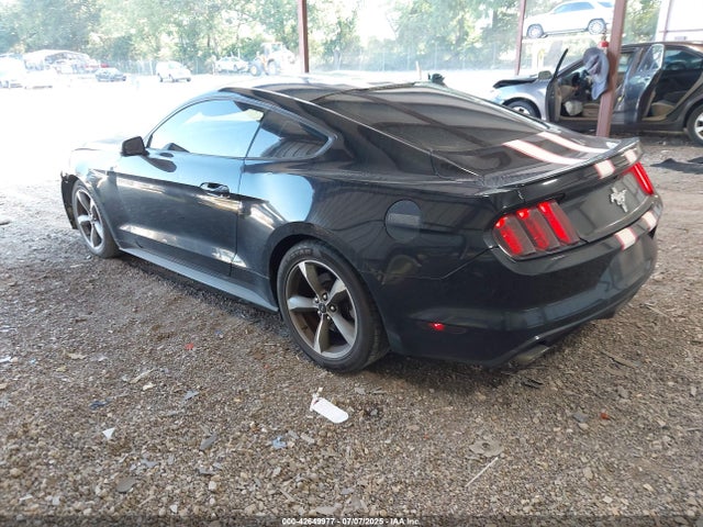 Ford 2016 2016 1FA6P8AM1G5281458 Image 3