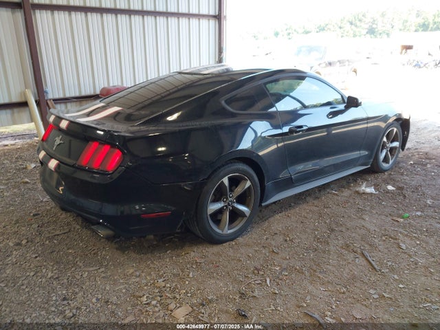 Ford 2016 2016 1FA6P8AM1G5281458 Image 4